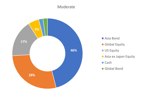 Moderate portfolio