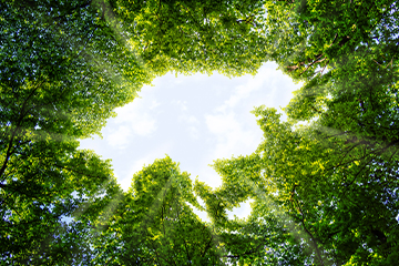United Sustainable Asia Top-50 Fund