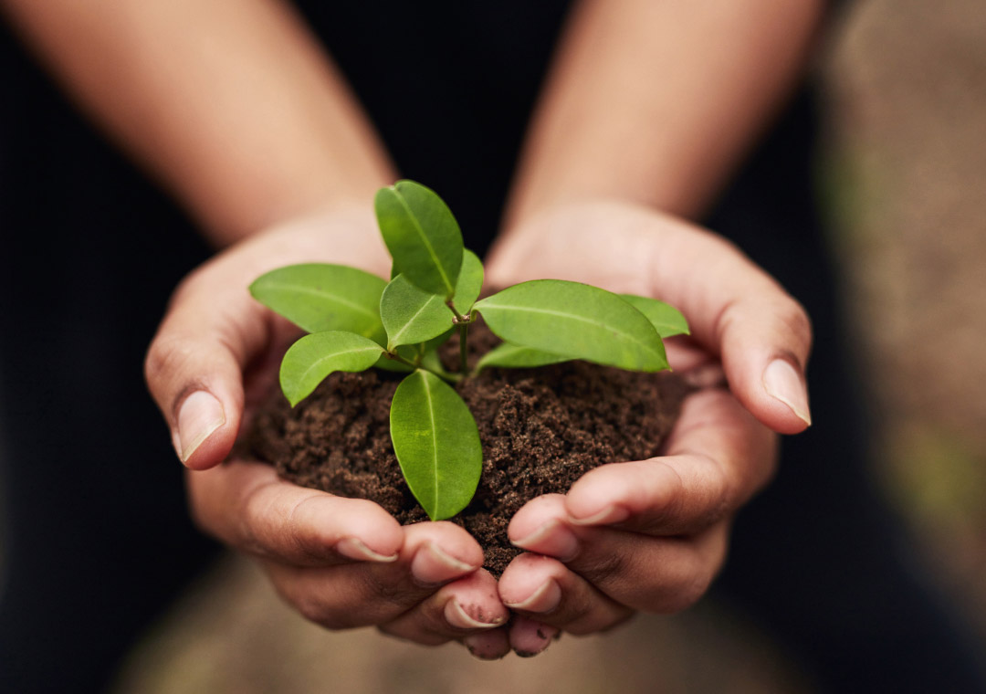 Active Ownership Approach