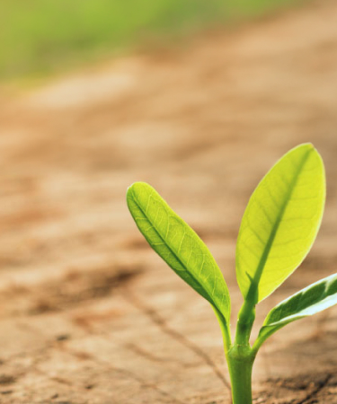 Our commitment to sustainability