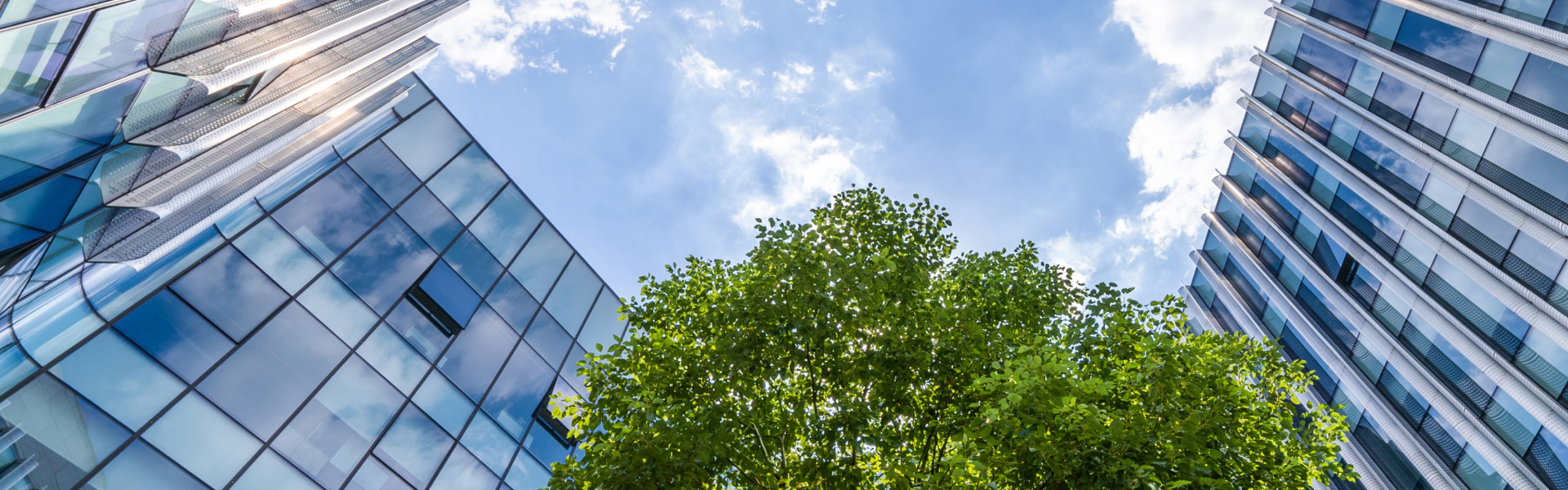 Sustainable Investment and Active Ownership Approach