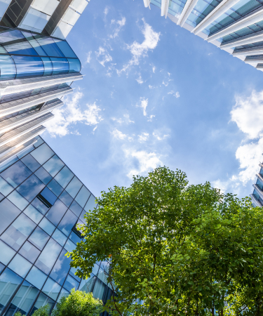 Sustainable Investment and Active Ownership Approach