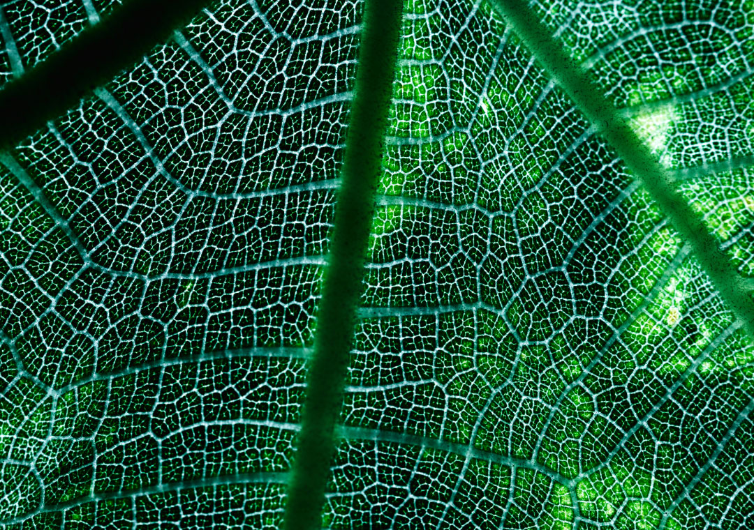 Our Growing Suite of Sustainable Investment Solutions