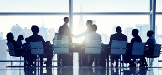 Businesses & Institutions Investor