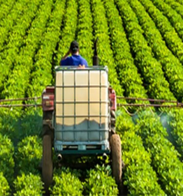 Asia is home to a new generation of global industry leaders