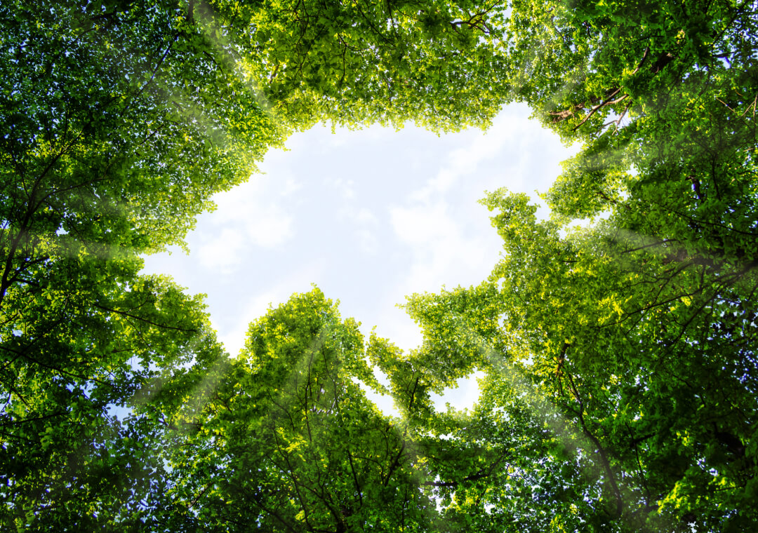 About United Sustainable Asia Top-50 Fund