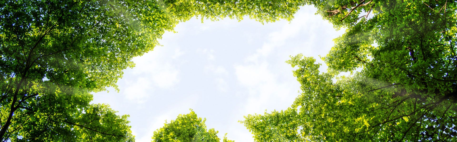 United Sustainable Asia Top-50 Fund