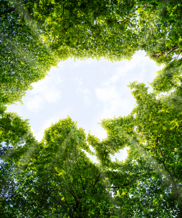 United Sustainable Asia Top-50 Fund
