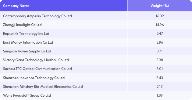 Index top 10 holdings