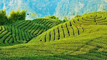 ESG Investment Opportunities in Taiwan