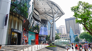 Fund Focus | Asian REITs are back on