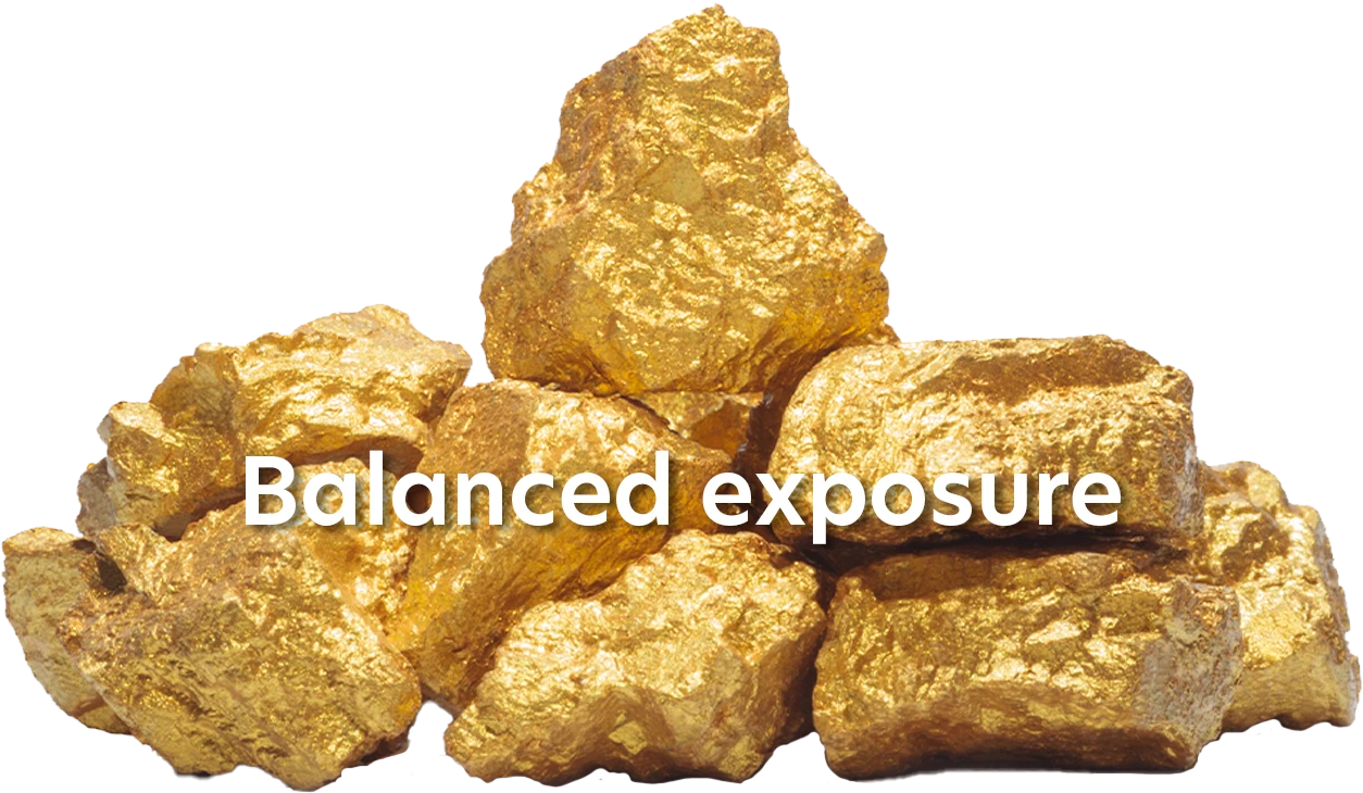 Gold Nugget