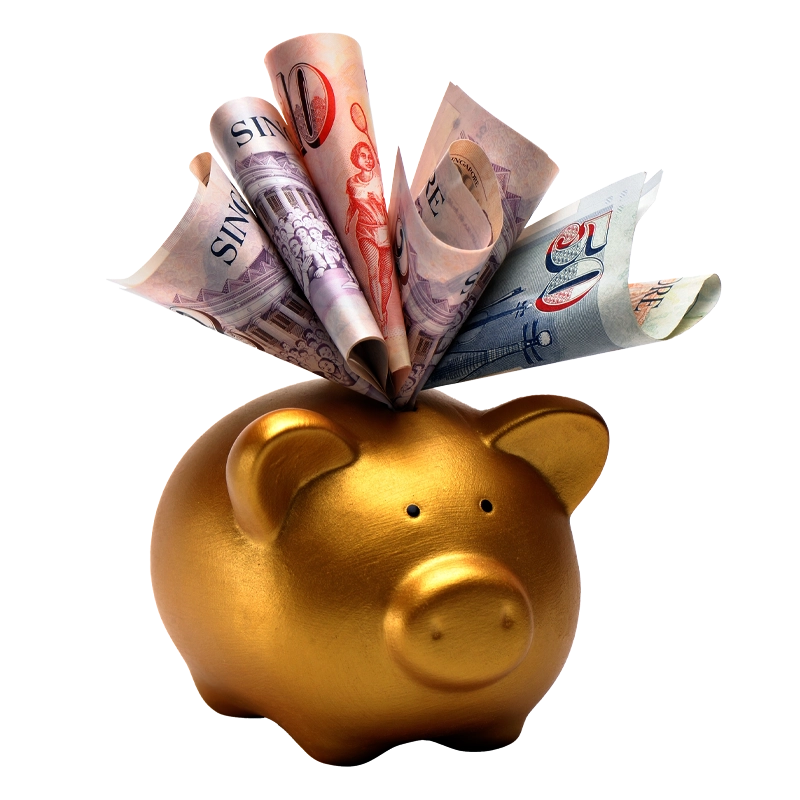 Piggybank with SGD