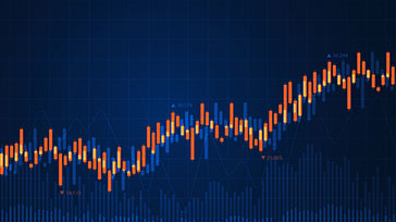 Investment Perspective | Mid-year manager roundtable: bond market reflections