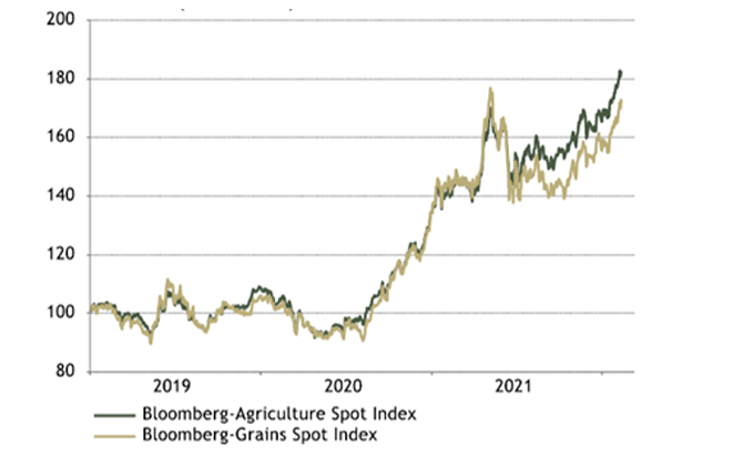 Markets are expecting agricultural prices to spike
