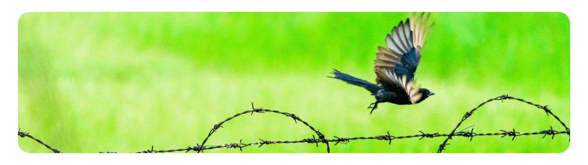 Strategy Update | 3 reasons to move off the fence