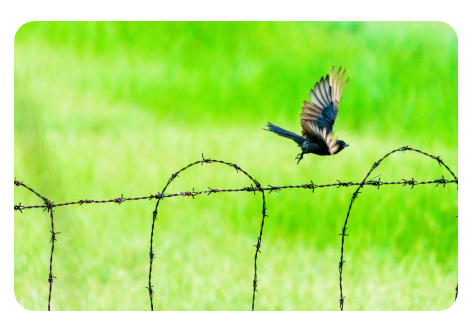 Strategy Update | 3 reasons to move off the fence