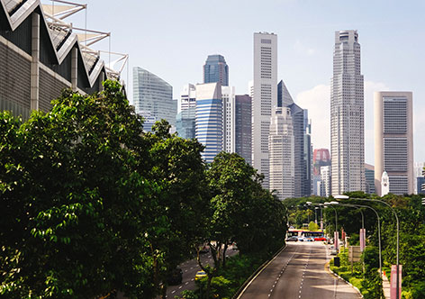 Singapore Goes Green