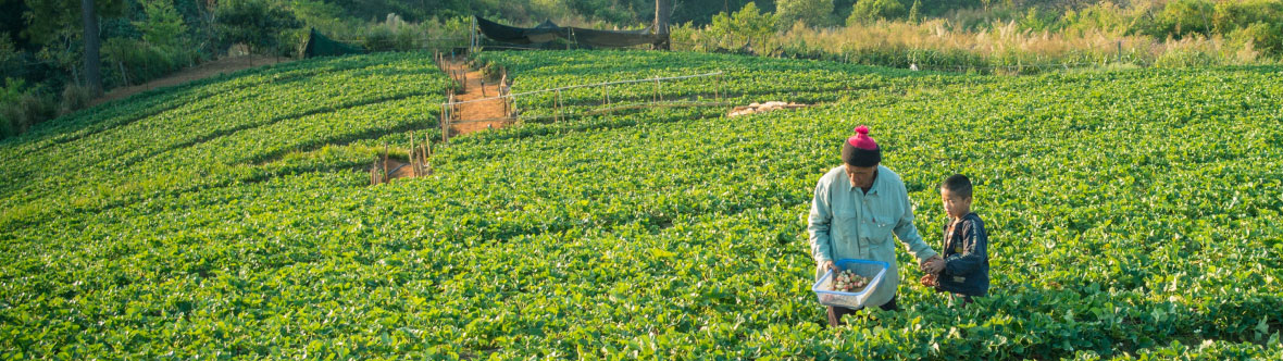 United Sustainable Credit Income Fund