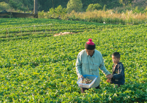 United Sustainable Credit Income Fund